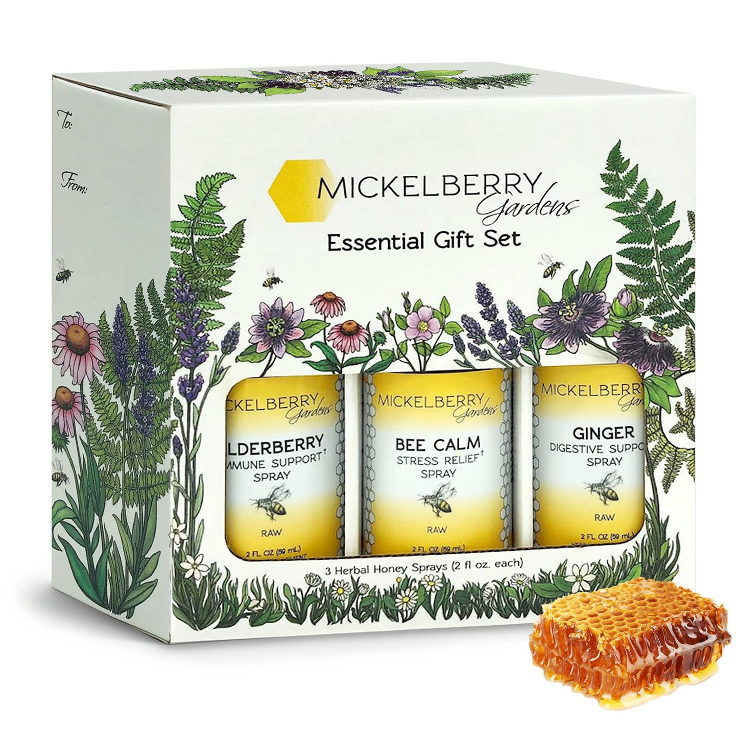 Essential Gift Set — all-day wellness for the whole family