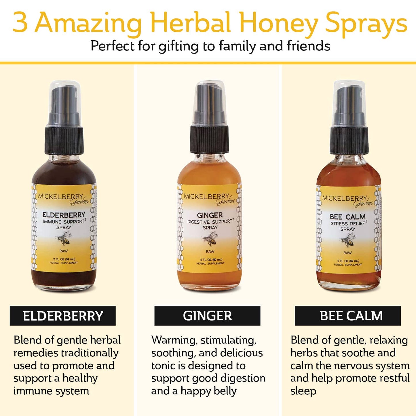 Essential Gift Set — all-day wellness for the whole family