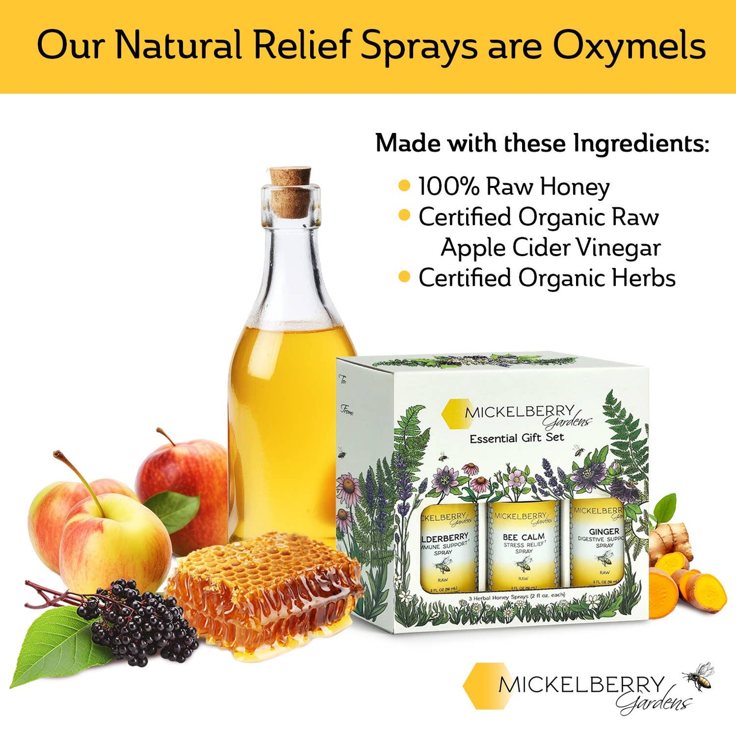 Essential Gift Set — all-day wellness for the whole family